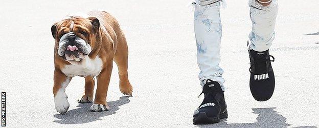 Lewis Hamilton's dog Roscoe