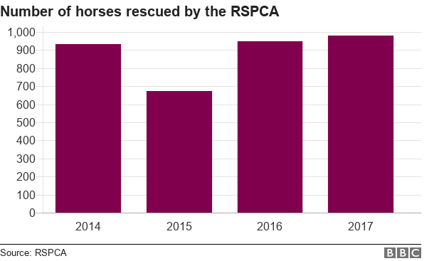 Chart showing number of horses rescued by the RSPCA