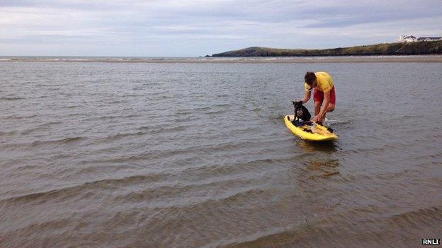 RNLI lifeguard Sam Purnell rescues dog