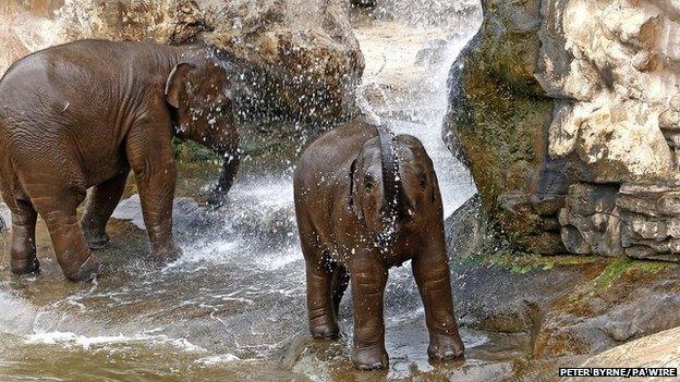 Chester Zoo