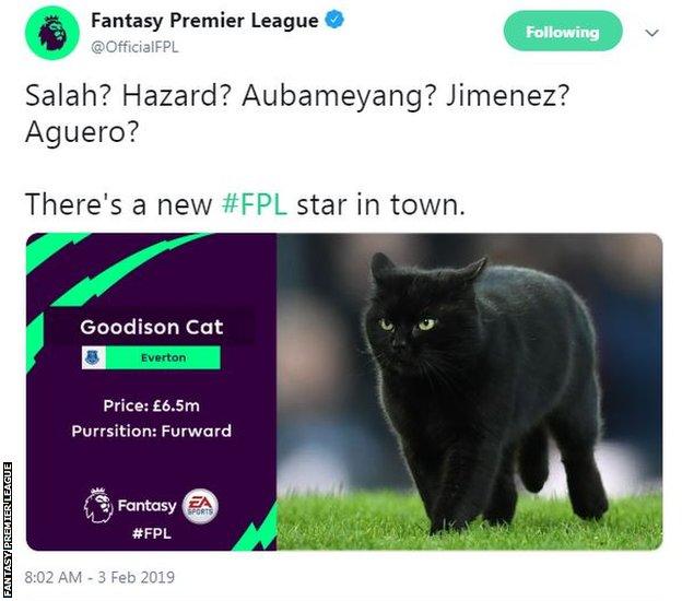 The Goodison Cat has been priced at £6.5m on Fantasy Premier League