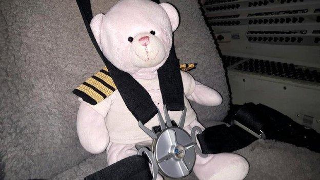 Teddy on plane