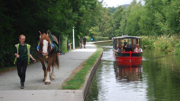 A horse pulls a pleasure boat along the canal in Llangollen, Denbighshire, photographed by David Jones.