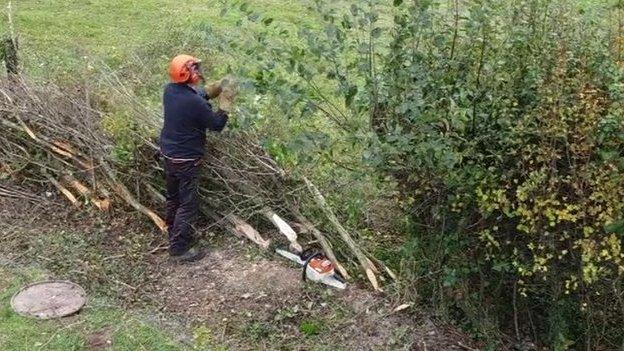 The Hampshire Hedge