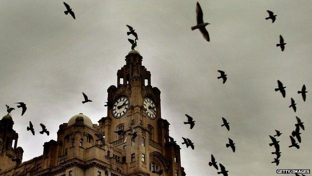 seagulls fly past Liver building