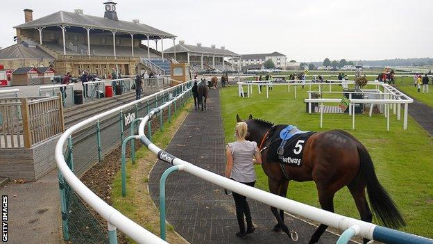 Horses being paraded in front of an empty stand