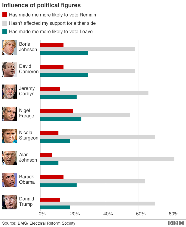 Graphic: Influence of various political figures on the EU referendum