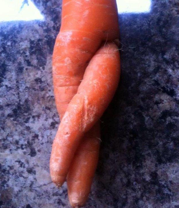 Carrot shaped like a pair of crossed legs.