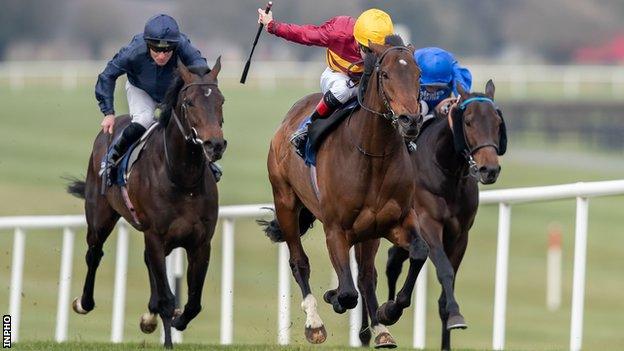 Racing at Naas