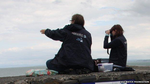 Volunteers conduct a watch from New Quay Pier, Ceredigion