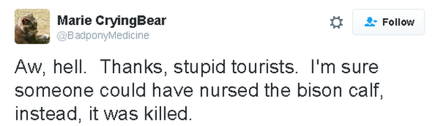 Tweet reads: Aw, hell. Thanks, stupid tourists. I'm sure someone could have nursed the bison calf, instead, it was killed.