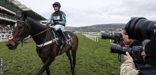 Altior has a racing record of 14 wins in 16 outings - and is five out of five over the fences