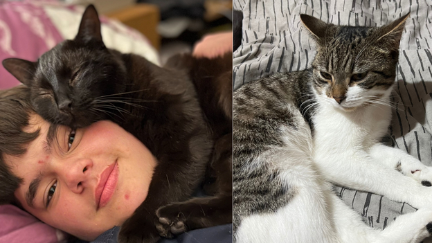 A collage of two pictures - on the left, the black cat called Bubbie is seen cuddled up to one of Ms Clifton's children, on the left, Trousers the tabby is lying on a bed with grey sheets.