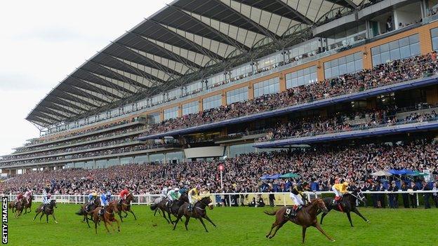 Runners at the 2015 Royal Ascot meeting