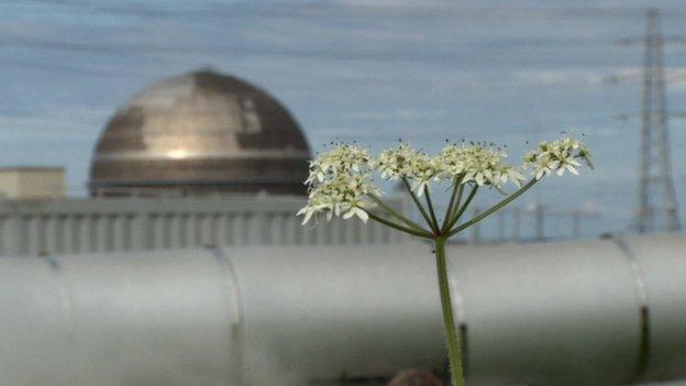 Sellafield