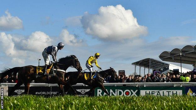 Horses racing at Cheltenham Festival