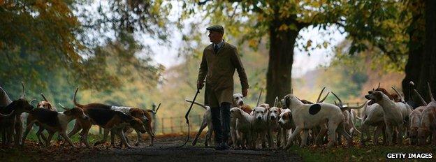 Huntsman Andrew German of The Cheshire Forest Hunt exercises his hounds in the autumnal countryside in preparation for the start of the new hunting season