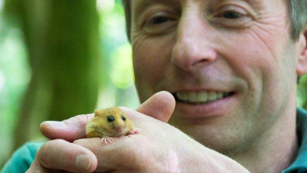 Ian White holding dormouse