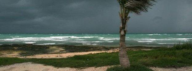 Windswept beach in the Caribbean