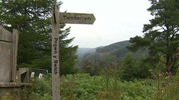 Cwmcarn Forest