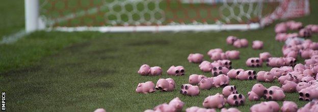 Protest pigs