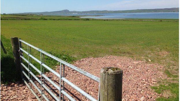 Field on Islay