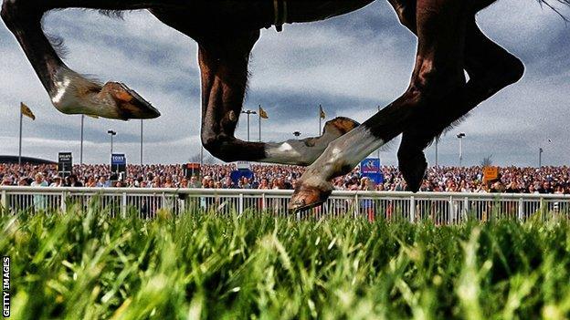 Horse runs at Aintree