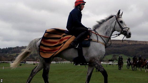 Lake View Lad ahead of Champion Day at the 2019 Cheltenham Festival