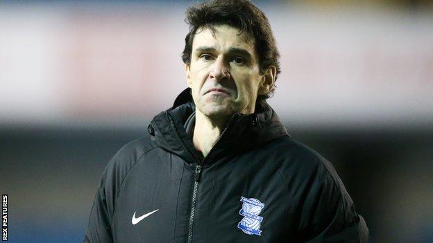 Birmingham head coach Aitor Karanka on the sidelines