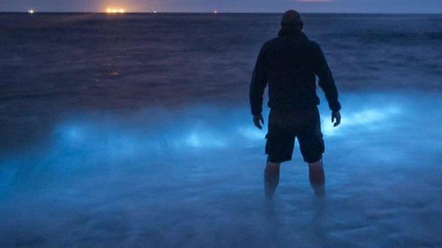 A man standing on Penmon beach by bioluminescence glowing from the water