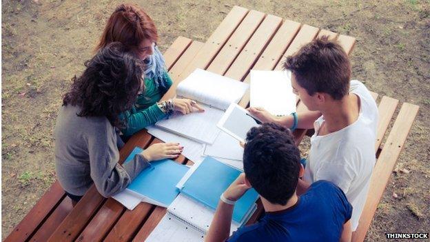 Students revising outside