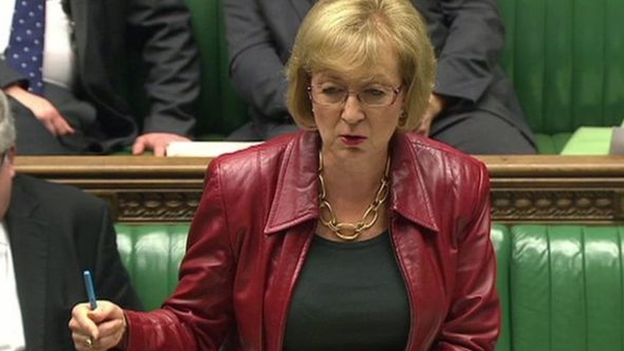 Energy Minister Andrea Leadsom