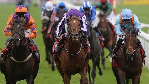 Harbour Law (left) gets up from Ventura Storm (right) and Housesofparliament