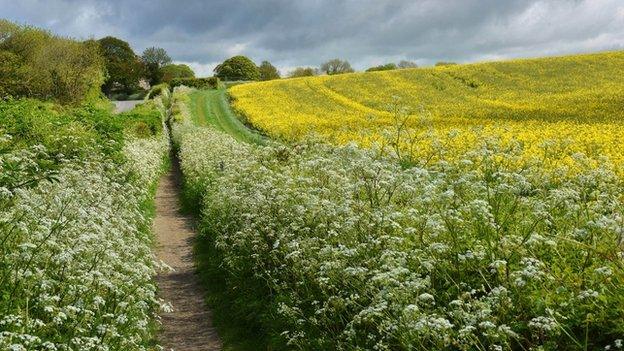 Footpath near Lewes, East Sussex, in May 2015