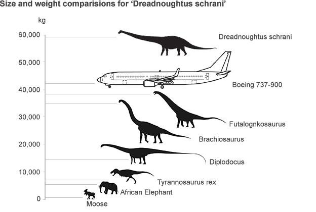 Titanosaur