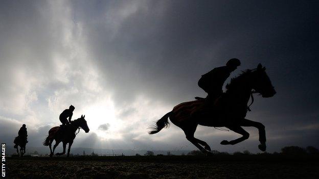 Horse racing generic shot