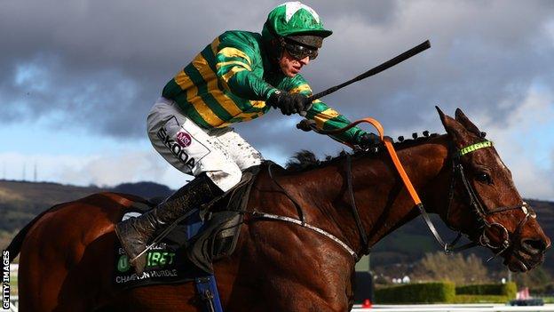 Espoir D'Allen ridden by Mark Walsh