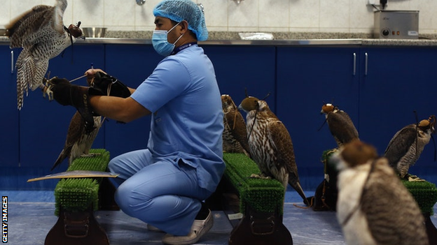 Abu Dhabi Falcon Hospital