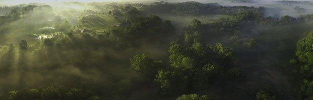 Aerial view of foggy valley at sunrise