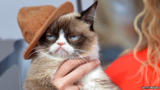 Grumpycat