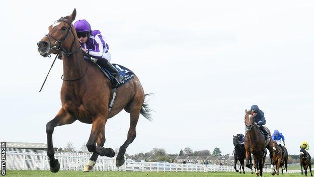 Magical race horse at Naas Racecourse