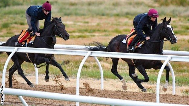 The Cliffsofmoher (left) in training