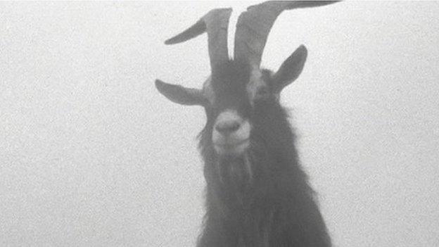 The goat crowned King Puck in 1953