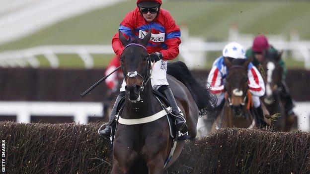 Sprinter Sacre at Cheltenham