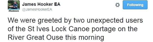 Tweet from James Hooker which reads: "We were greeted by two unexpected users of the St Ives lock canoe portage on the River Great Ouse this morning."