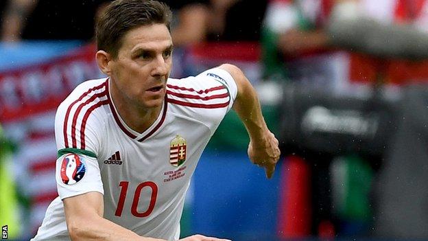 Hungary midfielder Zoltan Gera