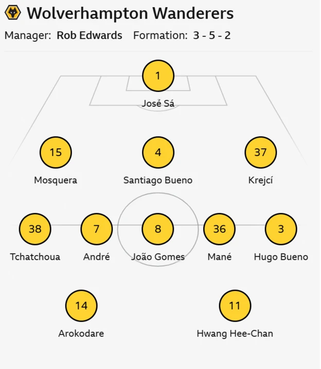 Wolves vs Newcastle: Noticias del equipo