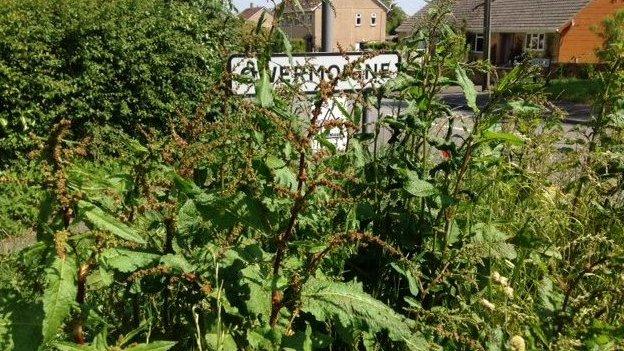 Grass obscuring the Owermoigne village sign