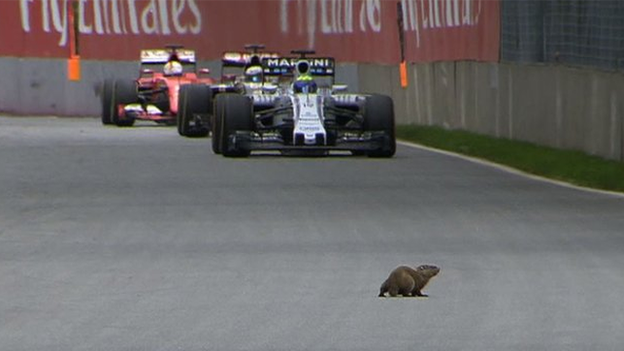 Canadian Grand Prix