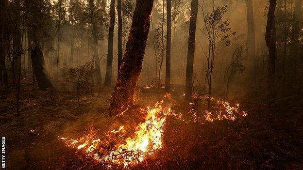 Bushfires in Australia